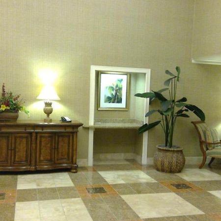 Royal Palms Apartment Briarcliffe Acres ภายนอก รูปภาพ